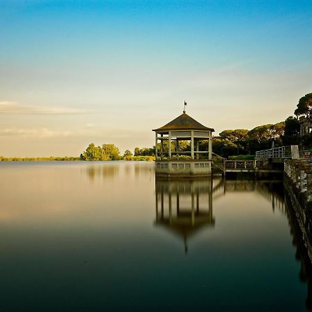 비아레지오 Casa Mario Dei Pini 빌라 외부 사진